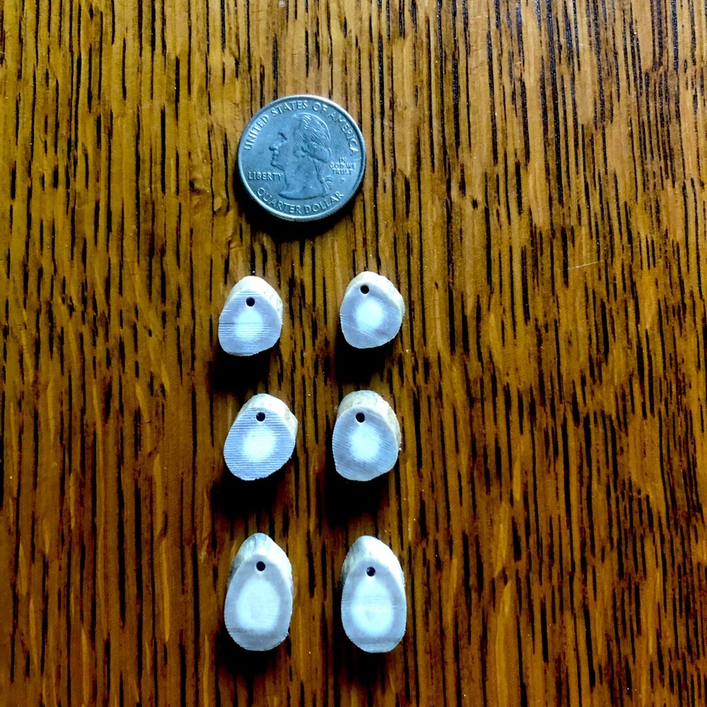Antler Earrings